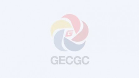 甘肅工程咨詢集團(tuán)紀(jì)委專項治理作風(fēng)問題